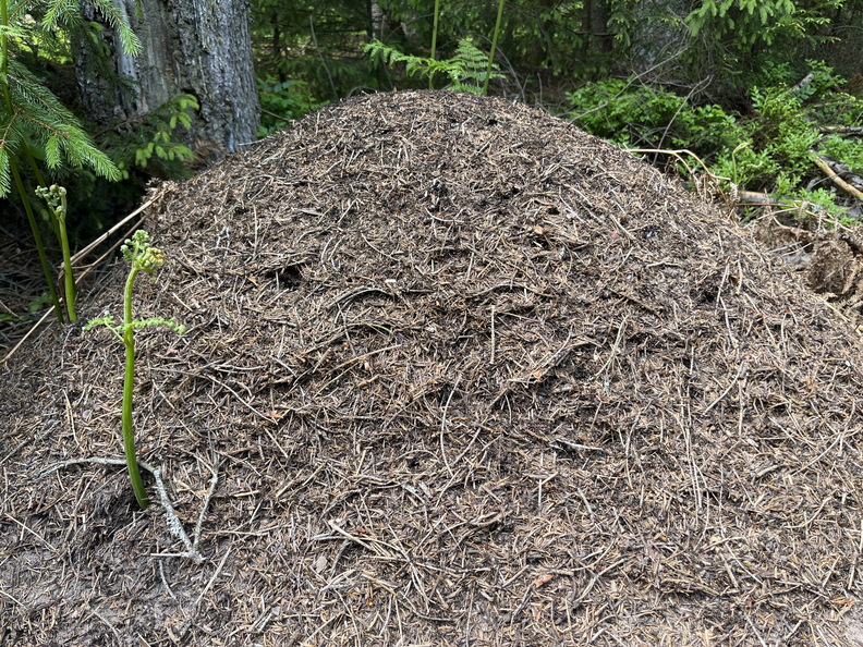 22-05-29 13-51-45 0976